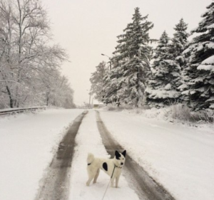 prima zapada, chisinau, moldova