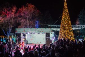 Nisporeni, concert, raionul Nisporeni