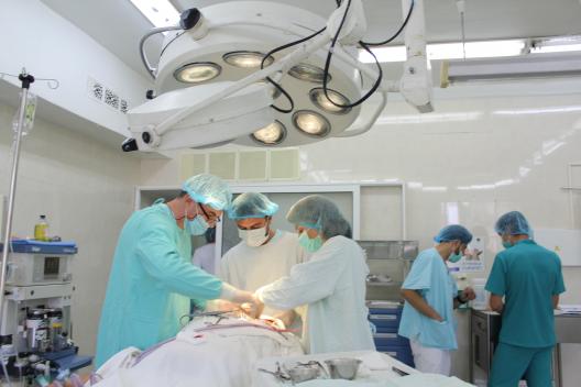 salarii la medici, majorarea salariilor, sistem medical, salarii la medici, ministerul sanatatii, silvia radu