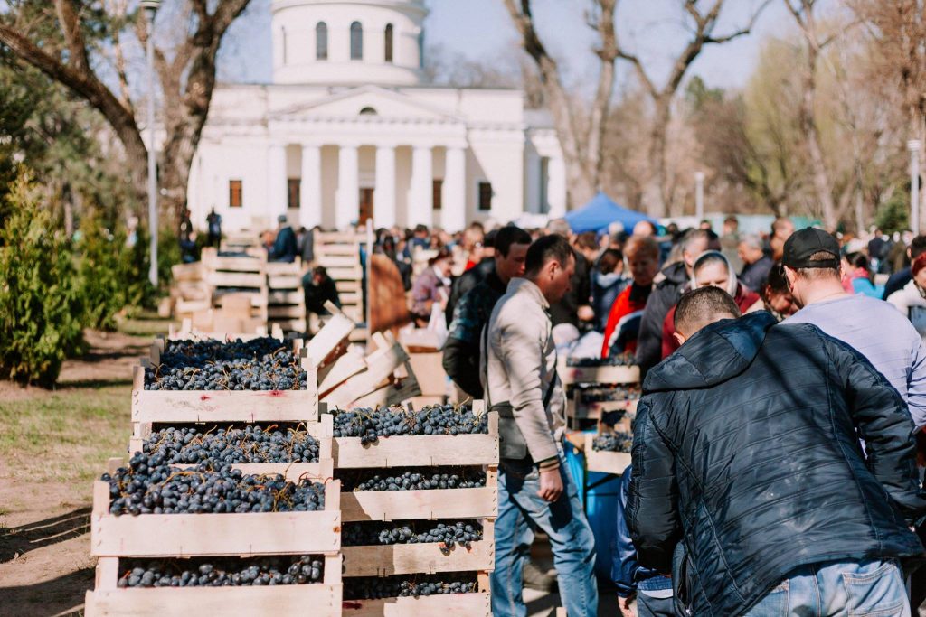 Târgul de struguri moldovenești, din Parcul Catedralei, va avea loc și duminica viitoare, ruslan codreanu primar de chisinau, agricultura moldova,