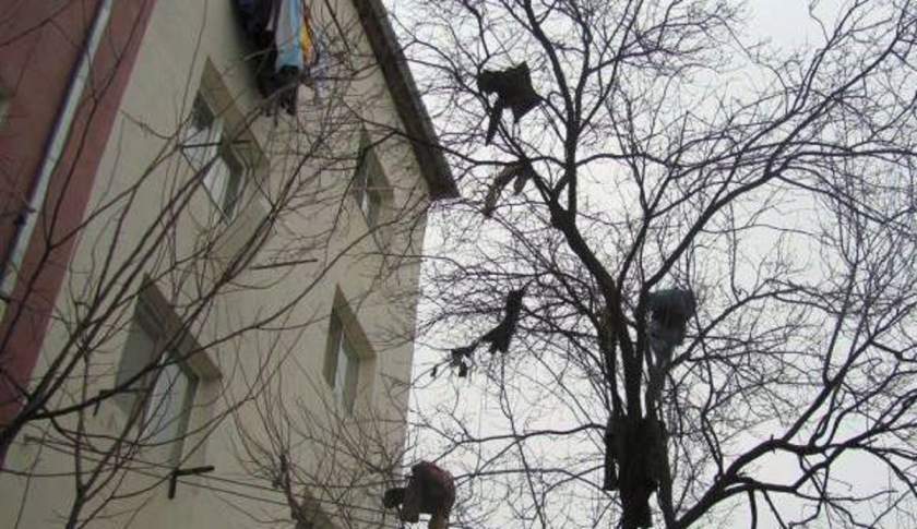 Soţul i-a aruncat nevestei toate hainele pe geam, Femeia a chemat pompierii să i le dea jos din copaci, cearta in familie sot sotie, violenta domestica