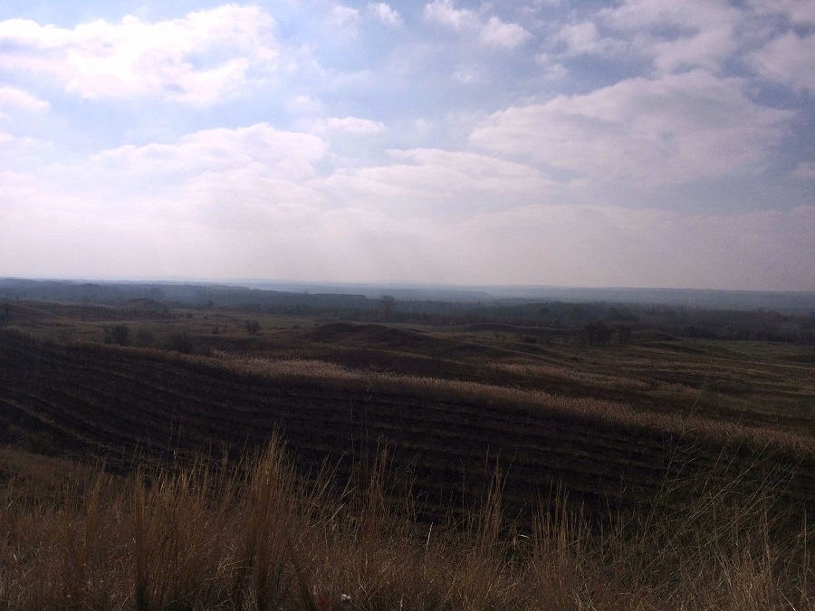 Suta de movile . glodeni moldova