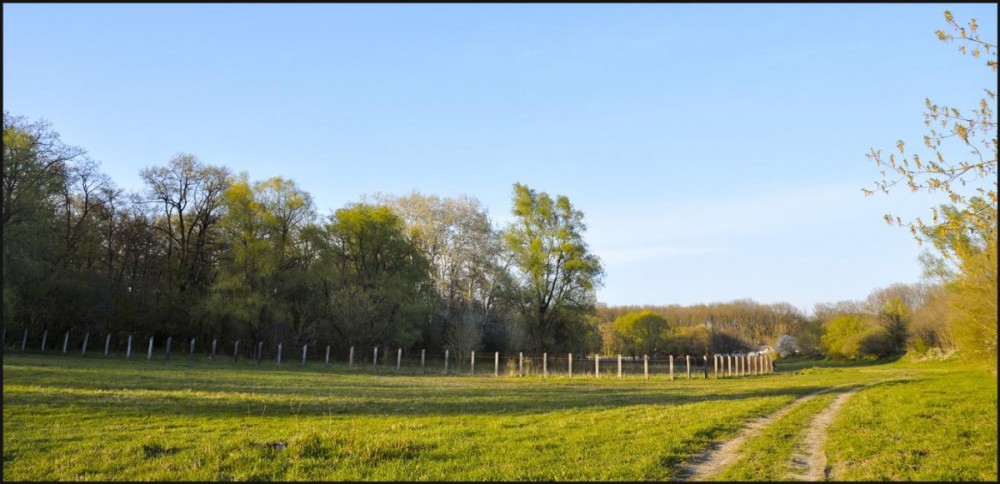 redescopera moldova, Rezervația Pădurea Domnească