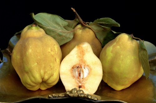 Fructul Minune, Fructe Secret, Fructul imposibil, Fructul interzis