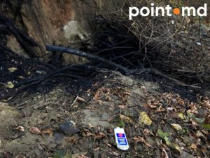 Podul Îndrăgostiților, Parcul Valea Trandafirilor