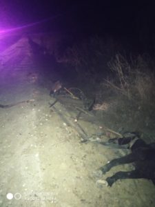 Accident- VW Sharan cu o Căruță