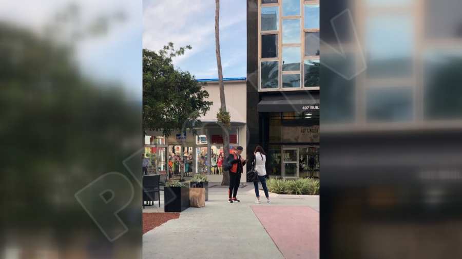 Vlad plahotniuc, Miami