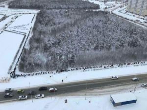 Surgut, Au îmbrățișat parcul