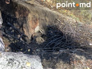 Podul Îndrăgostiților, Parcul Valea Trandafirilor