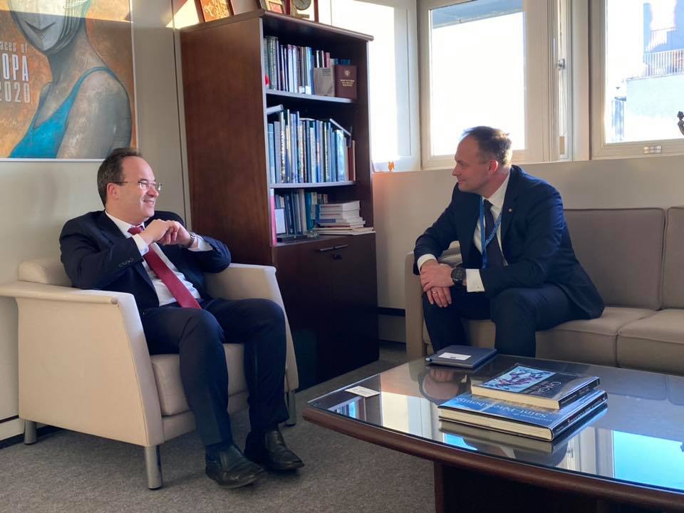 șeful Direcției Afaceri Politice a Consiliului Europei, Andrian candu, Alexandre Guessel,