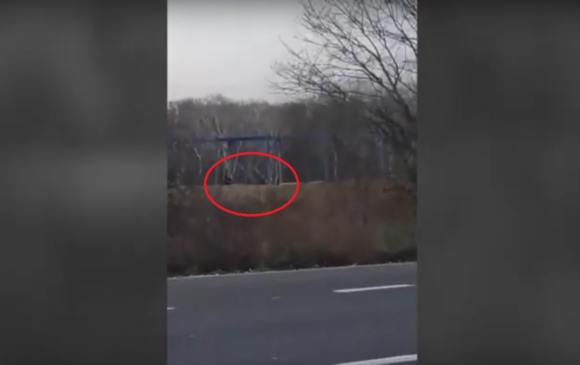 Cetățeni turci, trecere clandestină