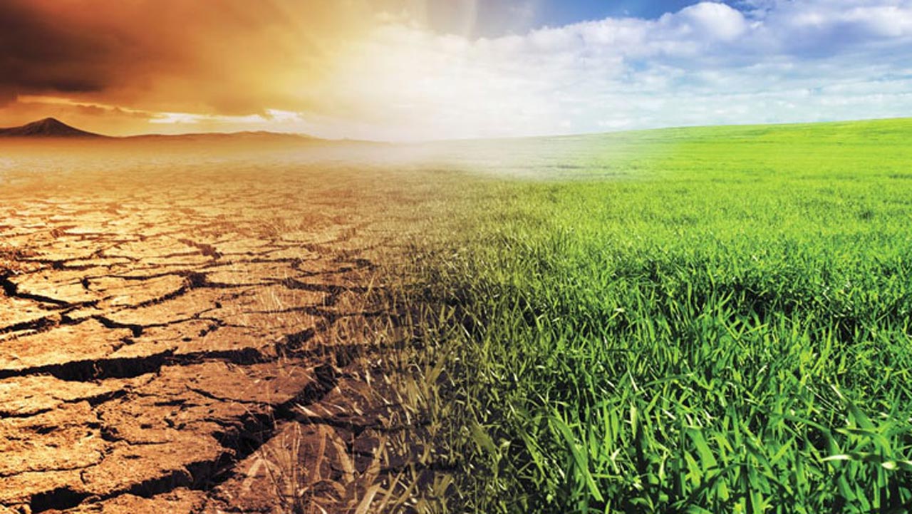 Agricultură, secetă