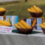 Președintele Igor Dodon efectuează o vizită de lucru în raionul Criuleni