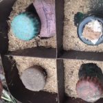 SIS a depistat o cantitate de circa 20 kg de mercur. Containerele erau îngropate în pământ