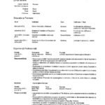 CV-ul lui ȘCHENDRA Constantin