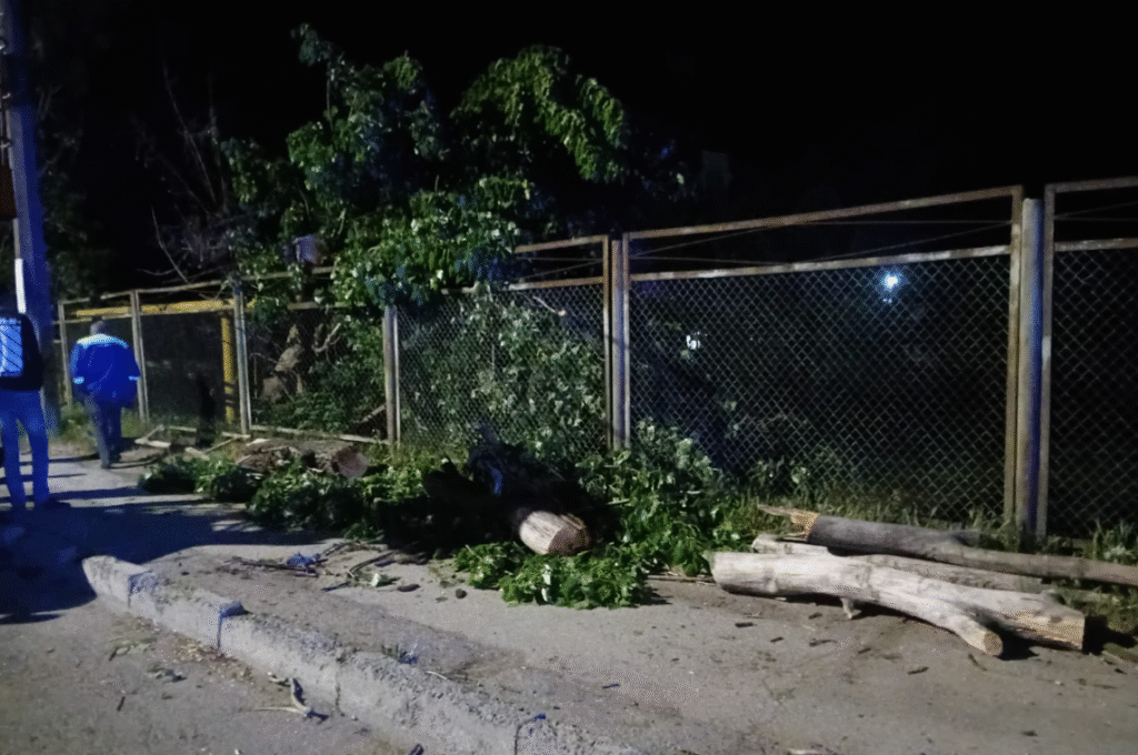 FOTO // Furtună violentă în Bălți: Arbori doborâți, cabluri rupte și ...