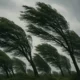 COD GALBEN // Rafale de până la 20 m/s în Republica Moldova: meteorologii au emis avertizare de vânt puternic