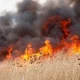 COD GALBEN // Pericol de incendii de vegetație în Republica Moldova până pe 22 iulie