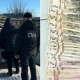 Bărbat reținut de CNA și procurori în raionul Florești pentru trafic de influență privind permisul auto