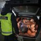 Ofițerii vamali au depistat piese auto și echipamente nedeclarate la Suruceni, Leușeni și Costești
