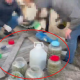 VIDEO // Peste 40 kg de marijuana, în valoare de peste 14 milioane de lei, au fost ridicate la Anenii Noi. Un bărbat a fost arestat