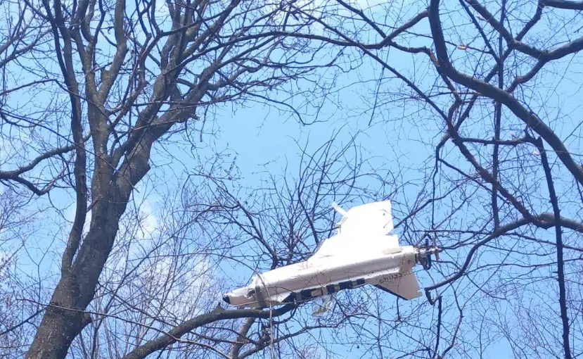 Foto: newspascani.com