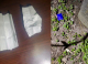 Polițiștii au documentat mai multe cazuri de deținere de droguri în sectoarele Ciocana și Botanica din Chișinău