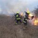 Peste 60 hectare de teren au fost distruse de incendii de vegetație în weekend