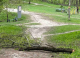 ULTIMA ORĂ // Bărbat de 85 de ani, ucis de un copac doborât de vânt într-un parc din Chișinău