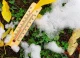 Prognoza meteo pentru următoarele 24 de ore
