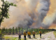 Sute de persoane evacuate și peste 50 de case distruse, în urma incendiilor de vegetație din sud-estul Statelor Unite