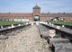O instanță din Germania a obligat în premieră un polițist să viziteze lagărul Auschwitz după folosirea unui slogan nazist