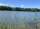 Un băiat de 10 ani a fost la un pas de a se îneca în râul Nistru