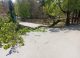 ACTUALIZARE // Noi detalii despre copilul rănit la Grădina Zoologică din Chișinău, internat la ATI