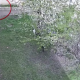 VIDEO // Două femei, înșelate cu peste 750 000 de lei. Trei suspecți, inclusiv doi cetățeni ucraineni, au fost reținuți la Chișinău