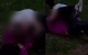 VIDEO // Două adolescente de 14 ani s-au bătut lângă un liceu din sectorul Buiucani, din capitală. Ancheta este în curs