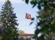 Semnul discret care anunță prezența Suveranului României. Unde și când este arborat stindardul