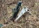 SBU a anunțat descoperirea unor urme de radiații în resturile unei drone rusești lângă Cernihiv