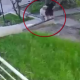 VIDEO // Trei tineri reținuți la Chișinău într-un caz de escrocherie de peste 600 mii de lei
