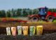 Granturi de până la 20 mii de euro pentru IMM-urile agroalimentare din Moldova: Apelul este deschis până pe 11 mai