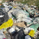 FOTO // Inspectorii de mediu din Florești au descoperit tăieri ilegale de arbori și depozitări neautorizate de deșeuri