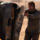 Finanțare fără precedent. Arabia Saudită încearcă să atragă Hollywood-ul cu subvenții record pentru filme și seriale