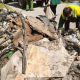 FOTO // O gunoiște ilegală de pe strada Torino din Chișinău a fost lichidată de muncitorii spațiilor verzi
