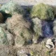 FOTO // 13 plase de pescuit ilegale, ridicate din râul Nistru în urma raziilor din raionul Rezina