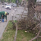 FOTO // Vânt puternic în Chișinău: Un arbore doborât și crengi rupte pe mai multe străzi