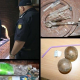 Un bărbat de 28 de ani este cercetat penal după ce polițiștii au descoperit o speluncă pentru consumul de droguri în Rezina