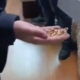 VIDEO // Un bărbat din Drochia a fost arestat pentru jaf și tâlhărie
