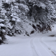 Un val de aer rece a adus ninsori abundente și temperaturi neobișnuit de scăzute în Grecia