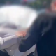 VIDEO // Polițiștii din Drochia au destructurat o grupare specializată în escrocherii cu prejudiciu de peste 2 milioane de lei