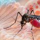 Virusul tropical care sperie Europa: Boala transmisă de țânțari se apropie tot mai mult de continent